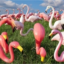 Don's Flamingo Farm - Rental Service Stores & Yards