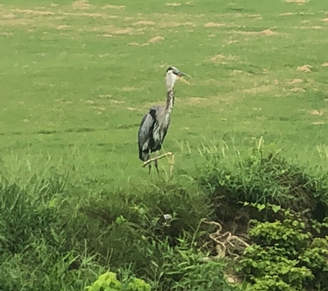 Meadowlands Golf Club - Winston Salem, NC