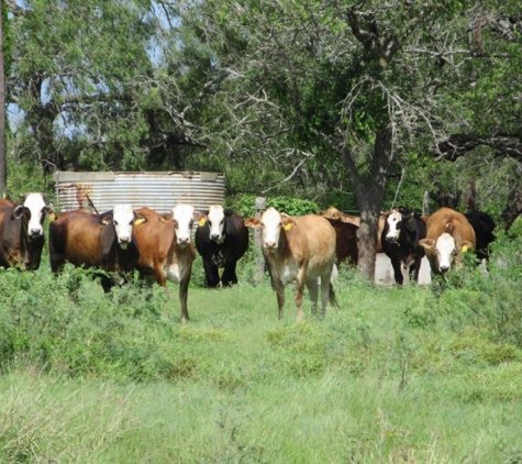 Leap Auctions - Dublin, TX