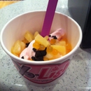 Yo-Lish Yogurt - Yogurt