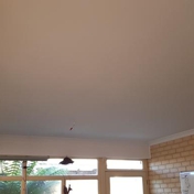 Gallery Image Number 2