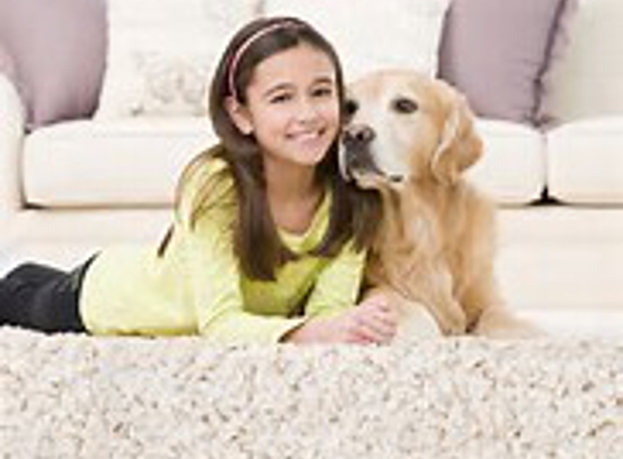 West Coast Carpet Care IN Los Angeles - Los Angeles, CA