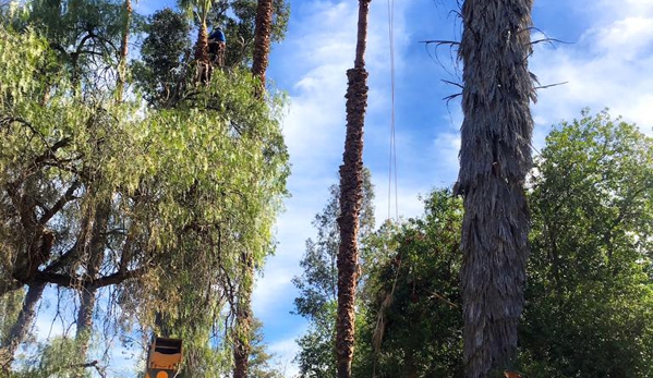 Top Notch Tree Care, Inc. - Escondido, CA