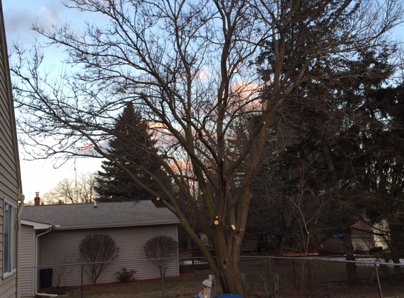 Trent's Tree Service - Flushing, MI