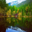 Almay Ranch Resort - Resorts