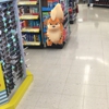 Walgreens gallery