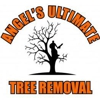 Angel's Ultimate Tree Removal gallery
