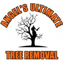 Angel's Ultimate Tree Removal - Stump Removal & Grinding