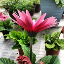 Salama Greenhouse & Floral Inc - Greenhouses