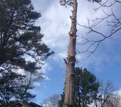 Harpers Tree Service - Valhermosa Springs, AL