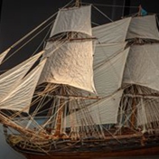 Gallery Image Number 5