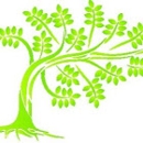 Willow Bookkeeping - Bookkeeping