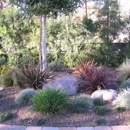 Landworks Landscape - Sod & Sodding Service