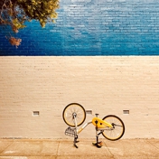 Gallery Image Number 5