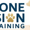 Dog Training Elite Lowell/Chelmsford gallery