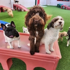 Bayside Pet Resort
