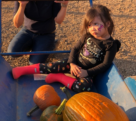 Bishop's Pumpkin Farm - Wheatland, CA