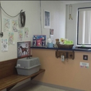 Center Animal Hospital - Veterinary Clinics & Hospitals