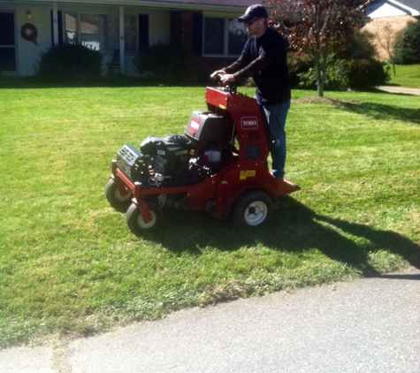 Wise Choice Lawn Care & Landscaping