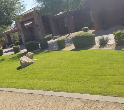 Down To Earth Landscaping Services - Phoenix, AZ