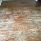 Gallery Image Number 2