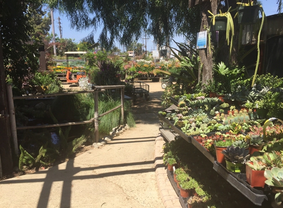 Village Nurseries - Huntington Beach, CA