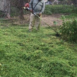 Francisco Toc Landscaping - Corona, CA