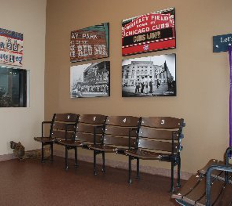 All-Star Animal Hospital - Surprise, AZ