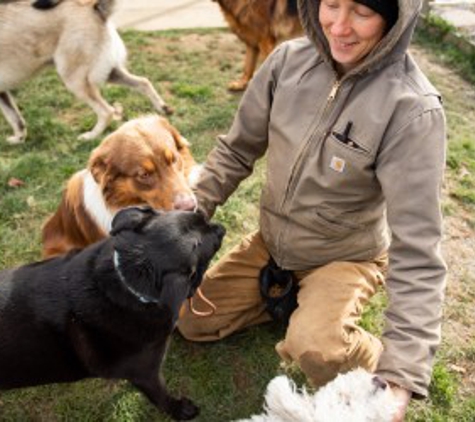 Anastasia's Acres Dog Boarding - Argyle, NY