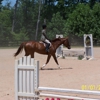 Blue Ridge Equestrian Farm gallery