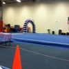 New Image Gymnastics gallery