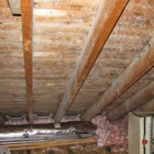 Mold Inspection & Testing St Louis MO