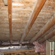 Mold Inspection & Testing New Jersey