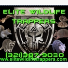 Elite Wildlife Trappers