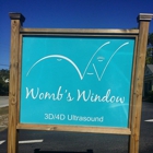 Womb's Window