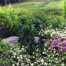 Andrew Zema's Landscaping - Landscape Designers & Consultants