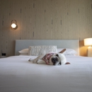 Kimpton Hotel Palomar South Beach by IHG - Hotels