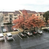 Fairfield Inn & Suites gallery