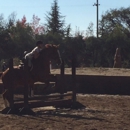 Hunterville-Patty Ball - Horse Training