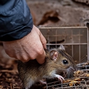 Hayes Pest Control Services - Pest Control Equipment & Supplies
