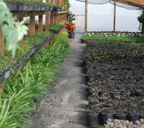 Bull Bay Nursery LLC - Saint Cloud, FL