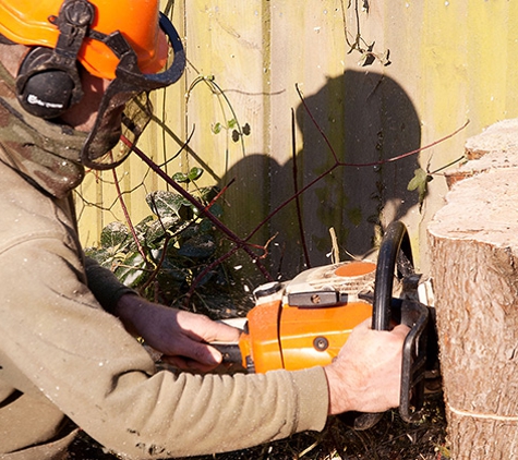 Langford Tree Service