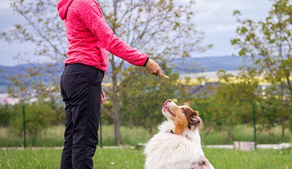 Dog Trainers Workshop - Fountain Inn, SC