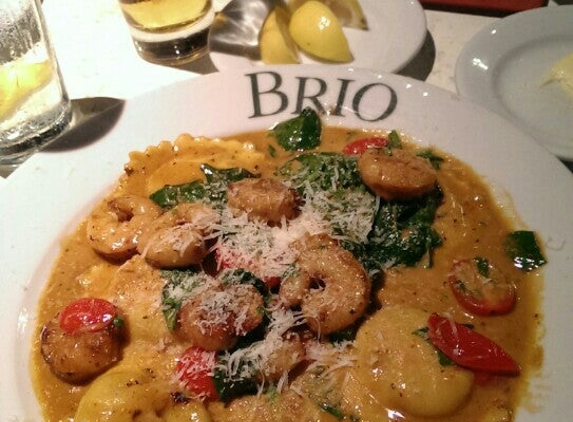 Brio Tuscan Grille - Plantation, FL