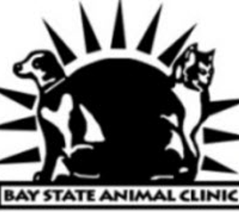 Bay State Animal Clinic Inc - Danvers, MA