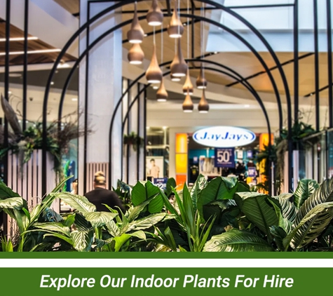 D&L Indoor Plant Hire & Garden Maintenance - Shell Cove, NSW. Explore Our Indoor Plants For Hire