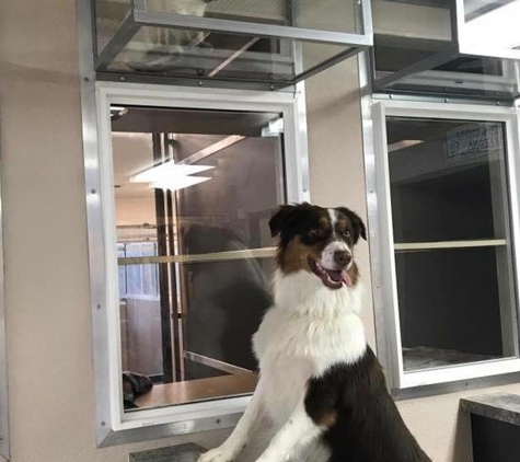 Tempe Lake Veterinary Clinic & Pet Resort - Tempe, AZ