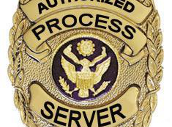 Serves-You-Right Process Service - Lansing, MI
