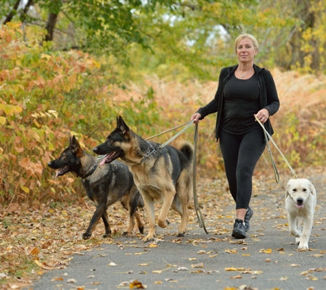 Toureen Pet Resort and Spa - Watertown, MA