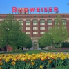 Anheuser-Busch Brewery Tour gallery